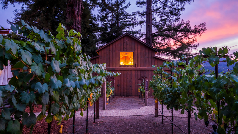 Sequoia Grove sits in Rutherford Valley, an ideal location to produce vibrant Cabernet Sauvignon.