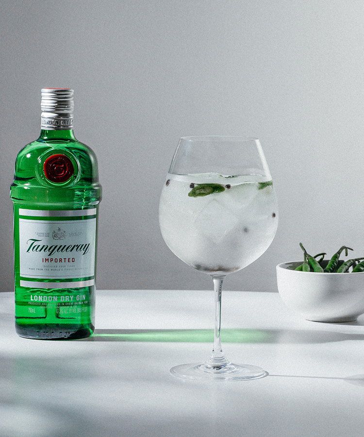 Tanqueray London Dry Gin & Tonic
