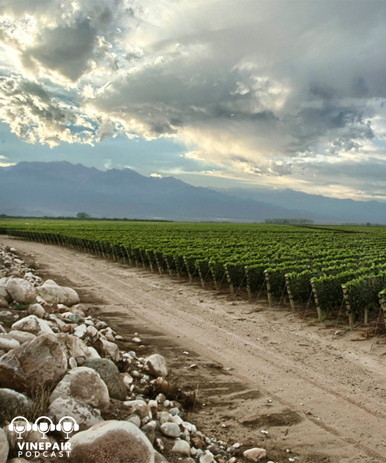 VinePair Podcast: Diving Into Argentina’s Uco Valley With Zuccardi Wines