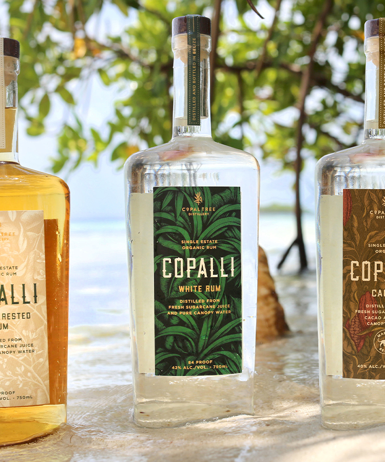 ‘Tis the Season for Belizean Cocktails With Copalli Rum