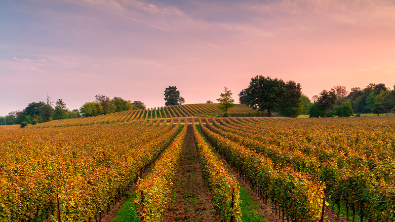 Franciacorta's region boasts heritage and a range of styles to thoroughly enjoy.