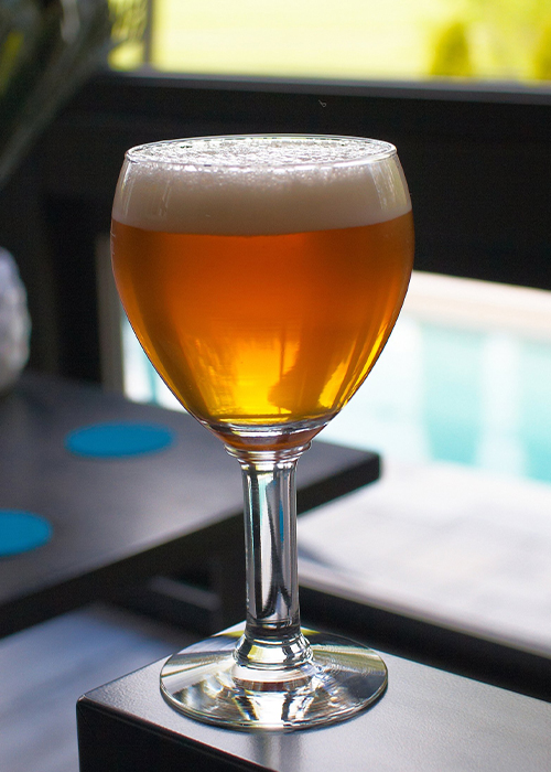 Belgian Saisons are one of the most underrated beer styles of 2021.