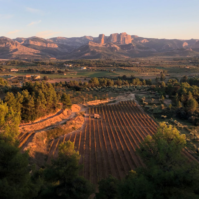 Why the Tiny, Tenacious Terra Alta Wine Region Should Be on Your Radar