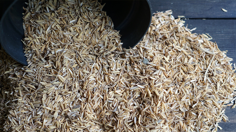 Las cáscaras de arroz no se descomponen con el calor del puré, por lo que permanecen rígidas, lo que permite un mejor drenaje del mosto, y no agregan color ni sabor a la cerveza terminada.