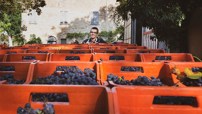 Climate change is affecting the wine industry in Italy