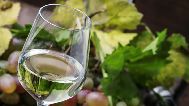 Discovering the Six Faces of Sauvignon Blanc