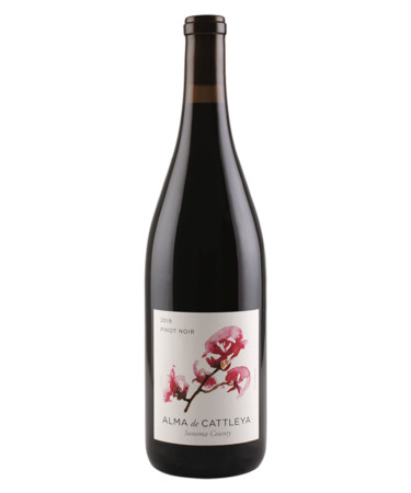 Cattleya ‘Alma de Cattleya’ Pinot Noir