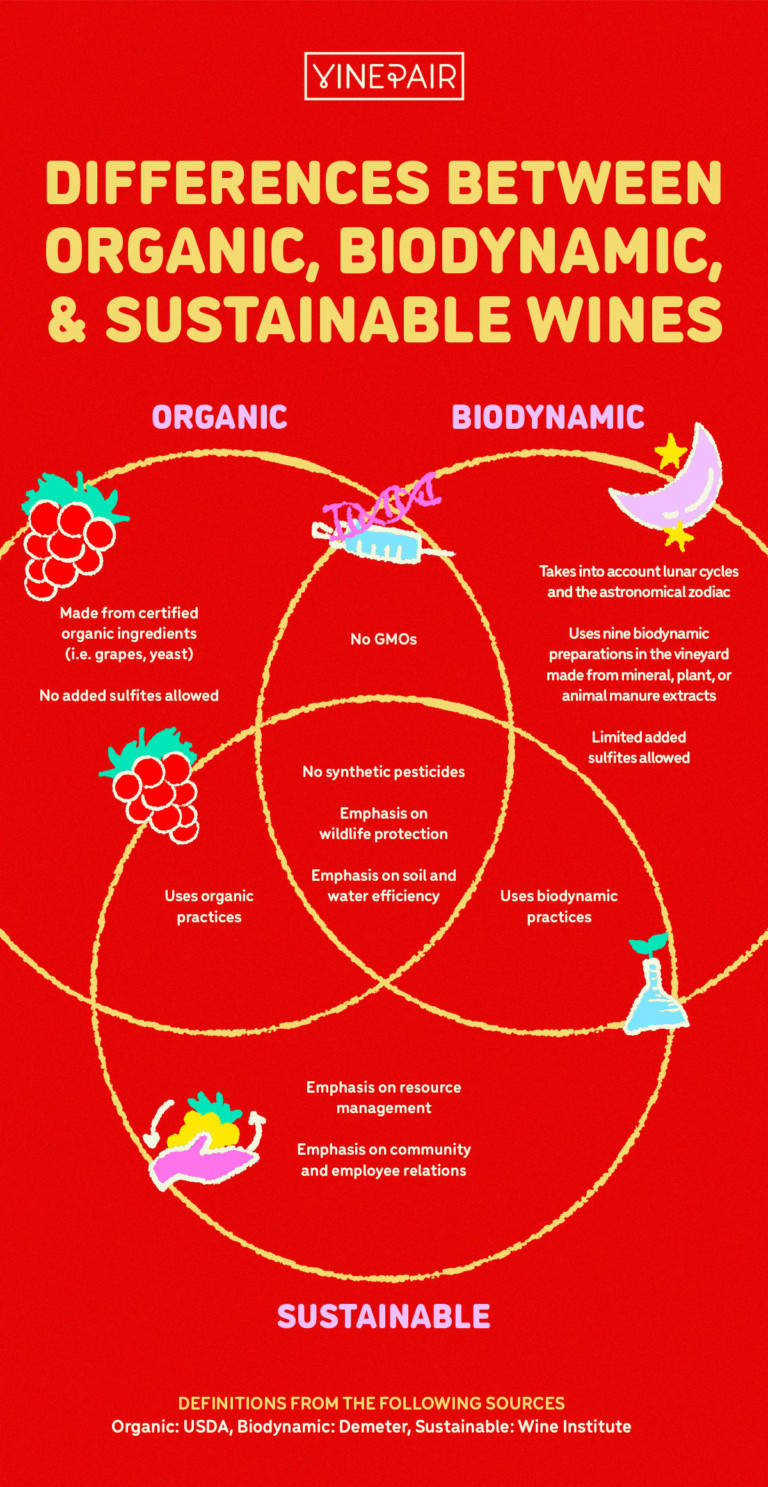 The Differences Between Organic, Biodynamic, and Sustainable Wines