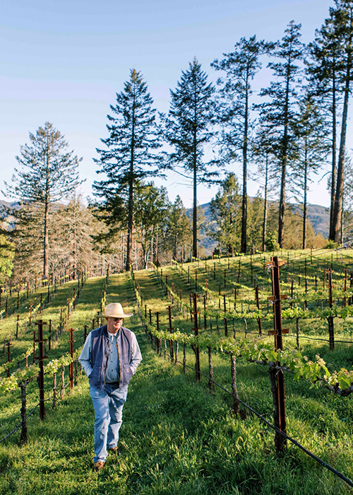 Sustainability efforts in American wines