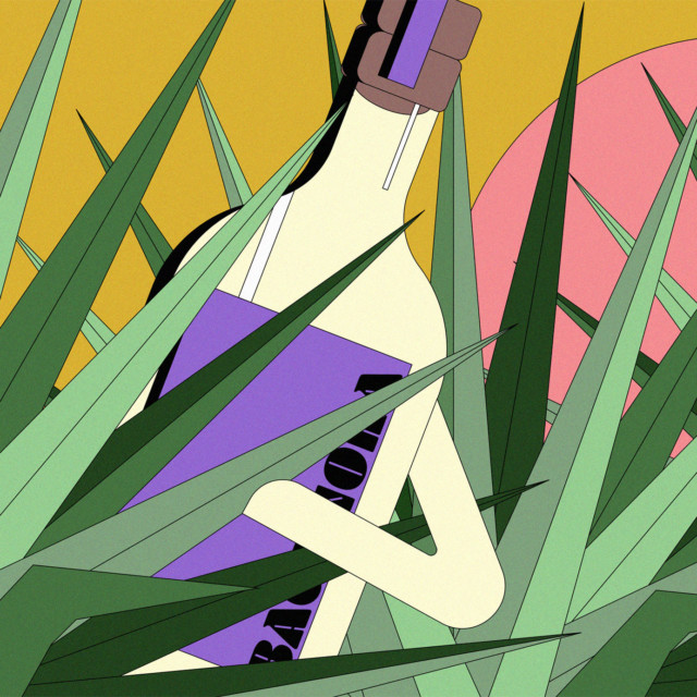 Bacanora, the Lesser-Known Agave Spirit, Is Finally Getting Its Moment in the Spotlight
