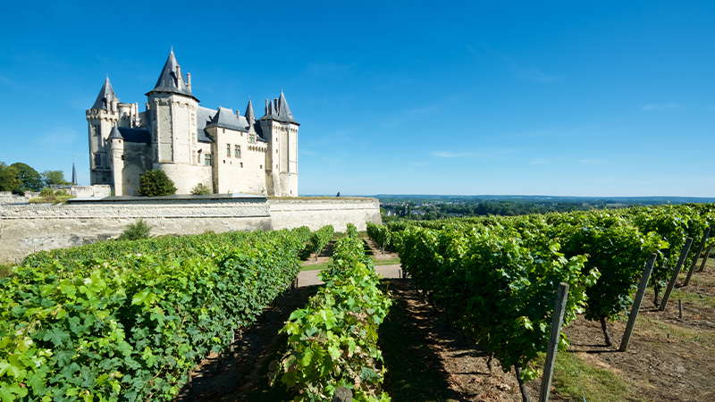 The Loire Valley is one of the more underrated European wine regions according to wine pros.