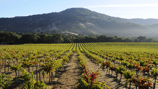 We Asked 8 Sommeliers: What’s The Most Underrated American Wine Region ...