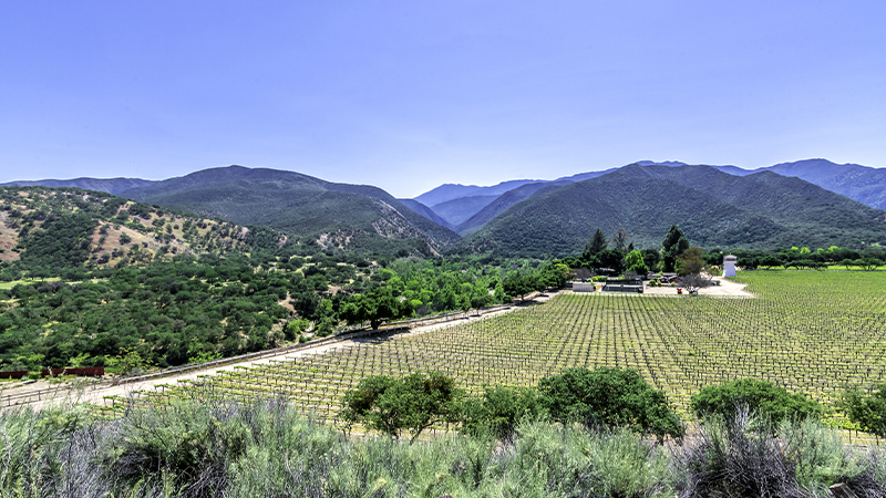 Monterey County is an underrated American wine region.