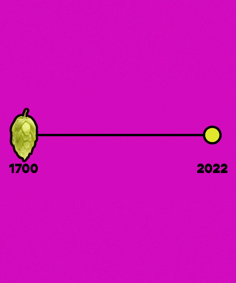 How Dry Hopping Evolved From the 18th Century to Define Today’s Hazy IPA Craze