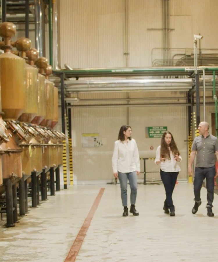 From Field to Glass with PATRÓN Episode #2: Cooking, Crushing, Fermentation, Distillation with Tequila PATRÓN