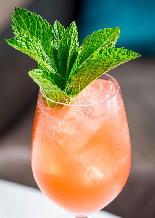 The Watermelon Spritz is one of the best cocktails for summer.