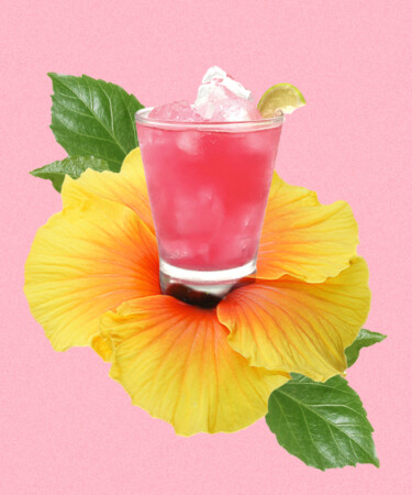 8 of the Best Hibiscus Cocktails