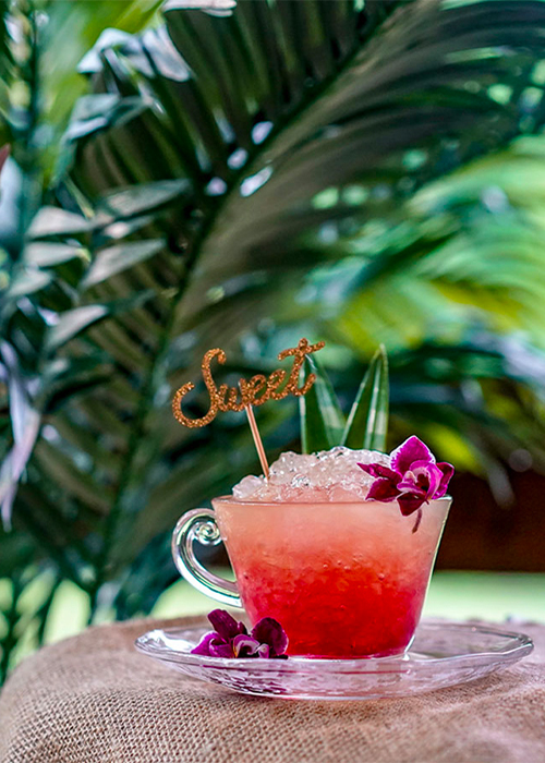 The Tiki Teacup is one of the best Hibiscus cocktails.