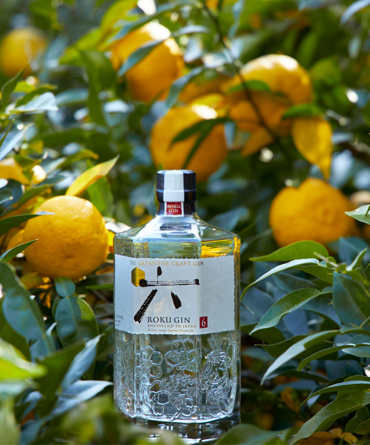 tremendous The Six Traditional Japanese Botanicals Elevate That Roku Gin | VinePair