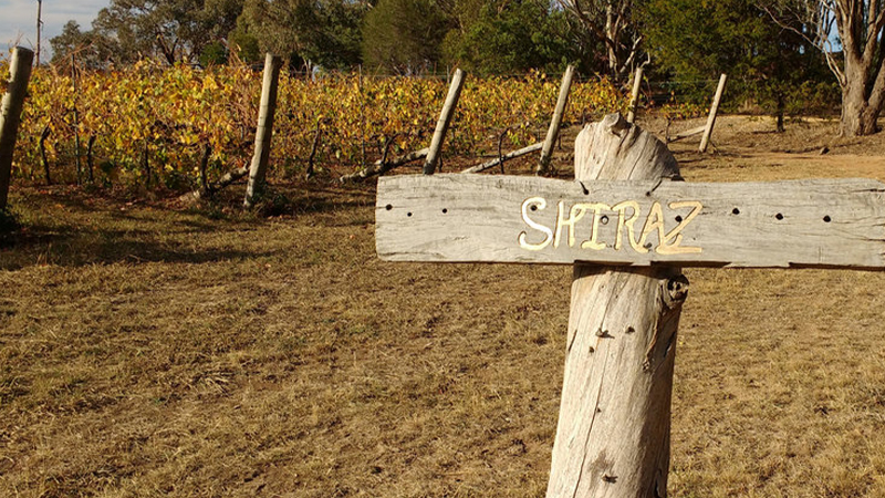 Bloodwood is a winery in Australia’s Orange wine region.