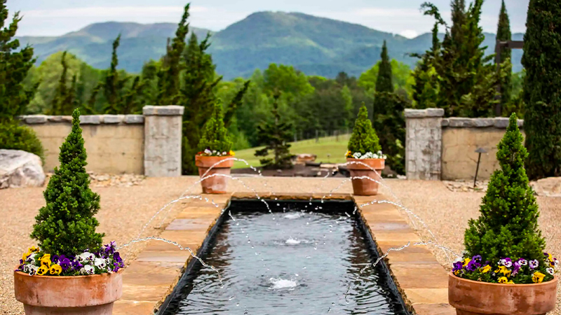 Hotel Domestique x Pride Mountain Vineyards in South Carolina, USA is a hotel wine label worth traveling for.