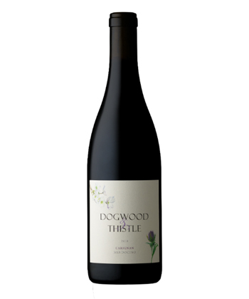 Dogwood & Thistle Testa Vineyard Carignan 2019 is one of the best chillable red wines.