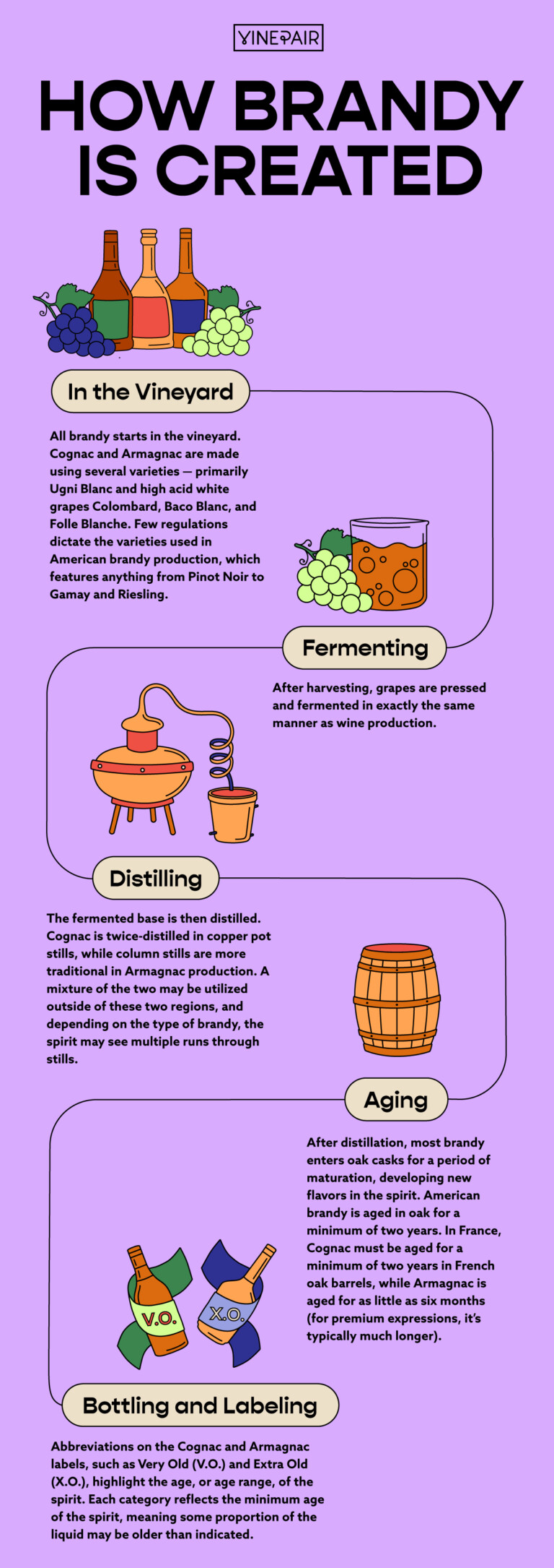 How is Brandy Created? [Infographic] VinePair
