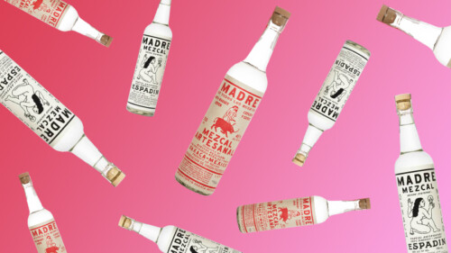 10 Things You Should Know About Madre Mezcal