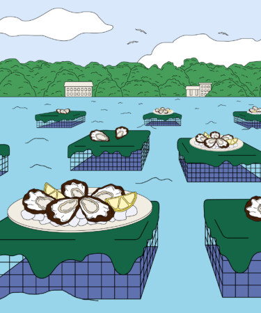 Not Just a Wine Term: Here’s How Terroir Affects Oysters