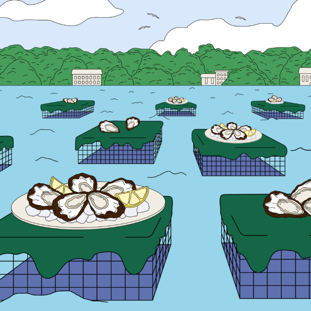 Not Just a Wine Term: Here’s How Terroir Affects Oysters