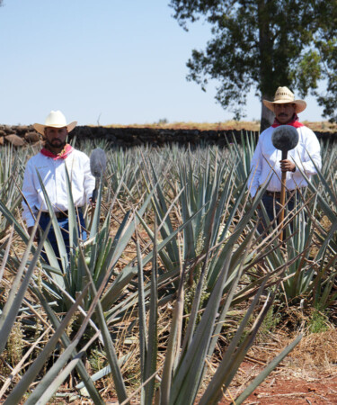 Small Batch Production, Simply Perfect PATRÓN® Tequila [Infographic]