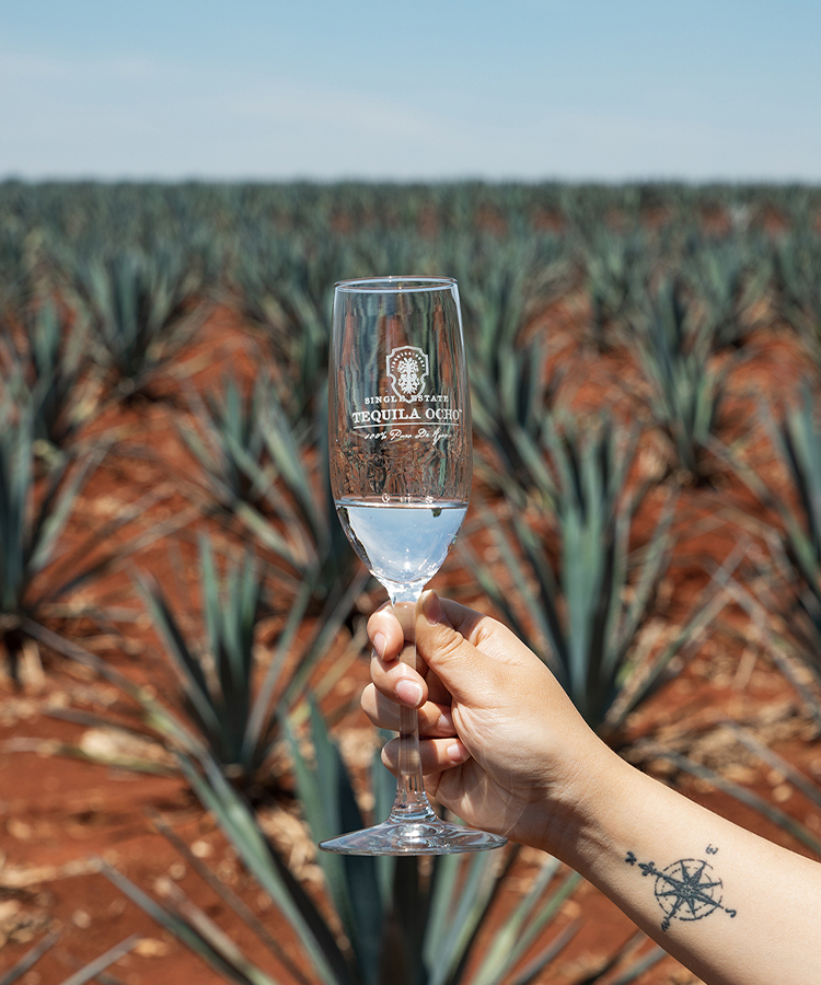 Tequila Ocho and The Significance of the Number 8