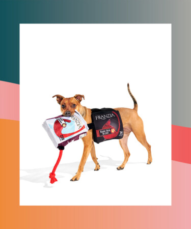Franzia Releases Boxed Wine Dog Costumes for Halloween Paw-ties
