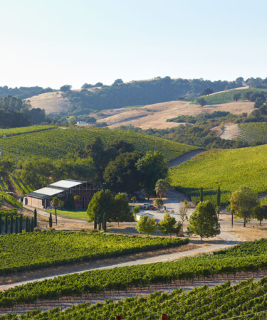 How the Diversity of Grapes Sets Paso Robles’ Wines Apart