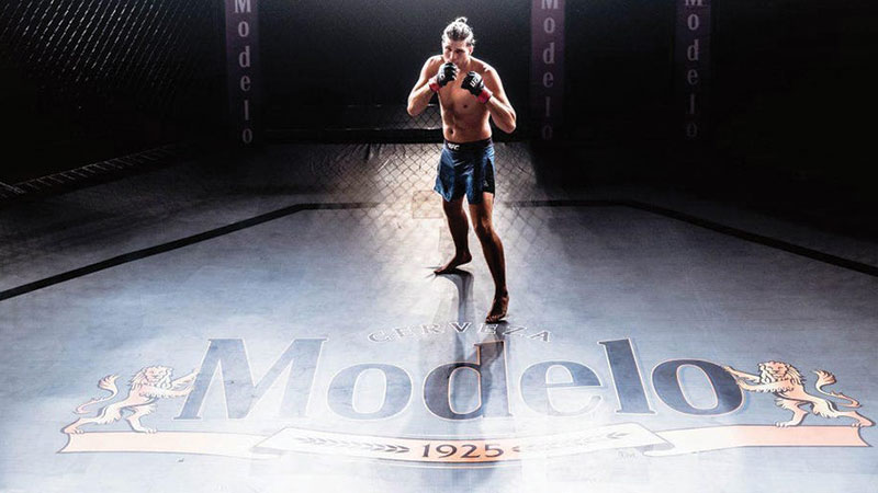 Modelo is a brand benefiting from a UFC partnership.