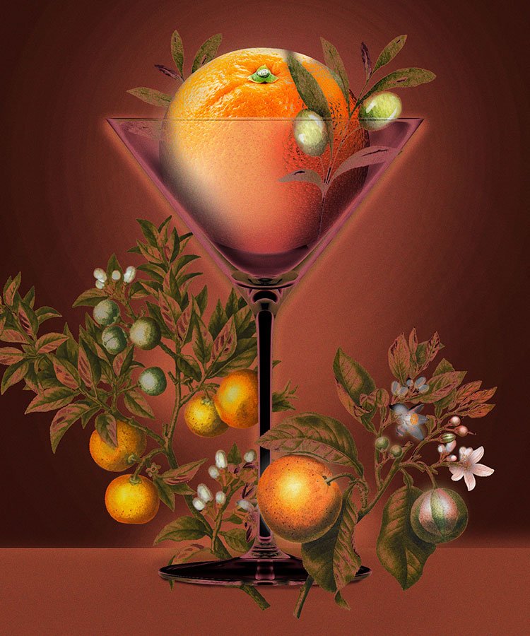 Do Orange Bitters Belong in a Martini? A Complex Answer to a Simple Question