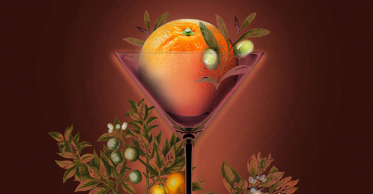 Do Orange Bitters Belong in a Martini? A Complex Answer to a Simple