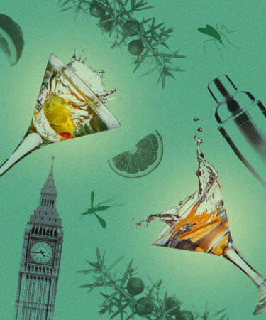 7 of the Biggest Gin Myths, Debunked
