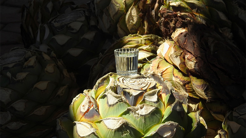The Tequila-Fication of Mezcal is a drinks trend you should look out for in 2023. 