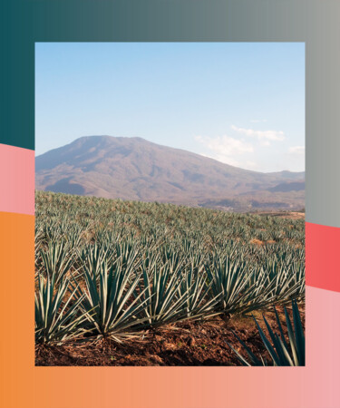 Mexico’s Tequila Exports Reached Record Amount in 2022