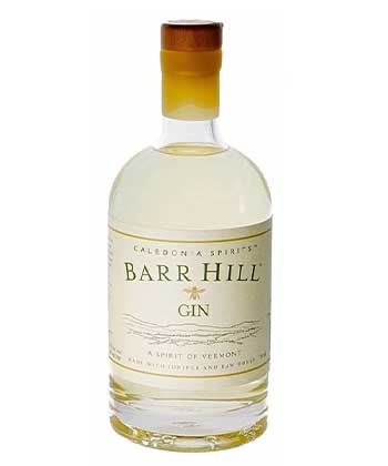 Barr Hill Gin is one of the best gins for mixing cocktails, according to bartenders.