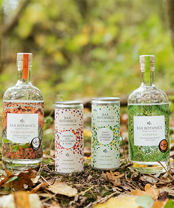 Bax Botanicals is one of the best non-alcoholic drinks brands for 2023.