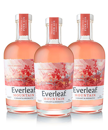 Everleaf Drinks is one of the best non-alcoholic drinks brands for 2023.