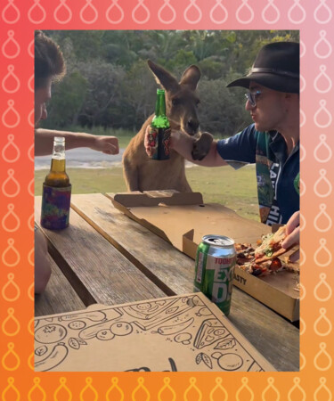 Australian Kangaroo Tries to Snatch a Beer and Pizza in This Viral Video