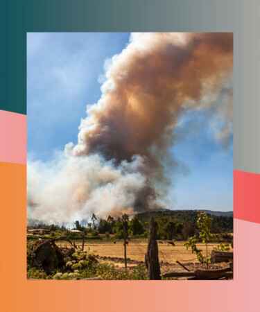 Wildfires in Chile Threaten Communities, Destroy Generations-Old Vineyards