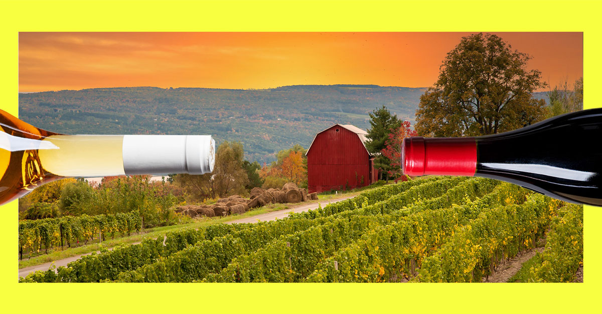 The Best White Wines From the Finger Lakes (That Aren't Riesling