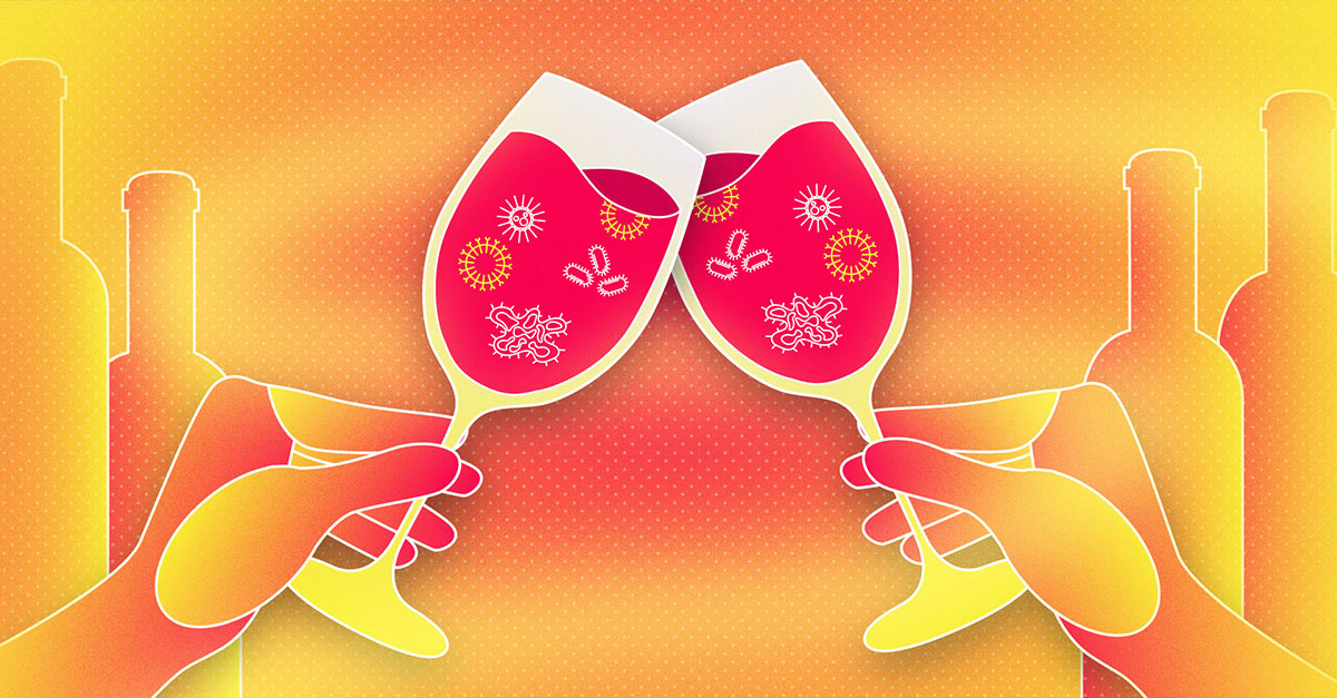 Is It Safe to Drink an Open Bottle of Wine After One Week? VinePair