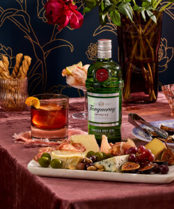 Tanqueray London Dry Gin Negroni