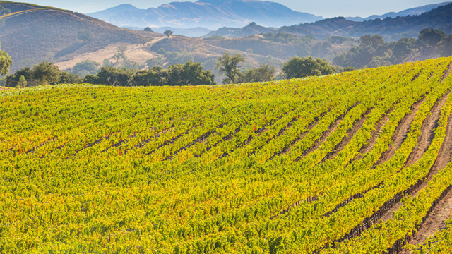 The World’s Top 10 Wine Destinations For 2023 | VinePair