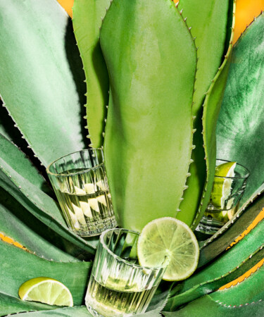 The 30 Best Tequilas for 2023